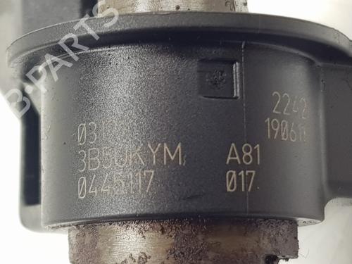 Injector BMW X6 (E71, E72) xDrive 40 d | BP24153293M100 