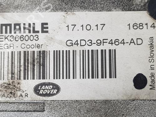 Egr LAND ROVER RANGE ROVER VELAR (L560) 2.0 D240 SD4 4x4 | BP36559506M69 - Image 2