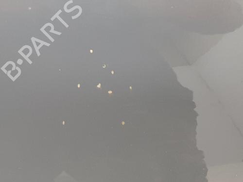 Hood RENAULT TRAFIC III Van (FG_) 1.6 dCi 140 (FGMA, FGMC) | BP29942159C1