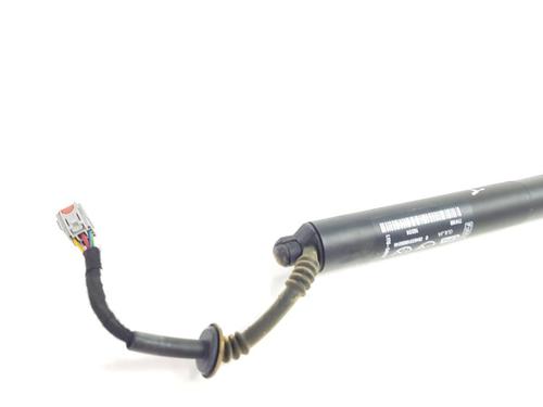 Gasdæmper bagklap FORD PUMA (J2K, CF7) 1.0 EcoBoost | BP38516751C138 - Image 4