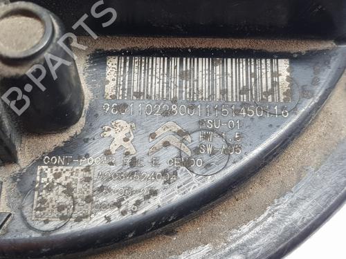 Fuel pump CITROËN C4 II (NC_)  | BP29313383M76 