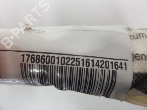 Left curtain airbag MERCEDES-BENZ A-CLASS (W176) A 200 CDI / d (176.008) | BP31958075C11 