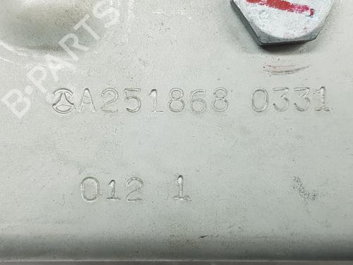 Front left seatbelt MERCEDES-BENZ R-CLASS (W251, V251) R 280 CDI 4-matic (251.020) | BP18302313I26 