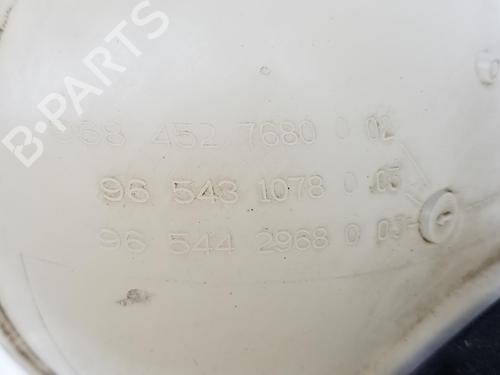 Expansion tank PEUGEOT 3008 I MPV (0U_) 1.6 HDi | BP11384982C120 