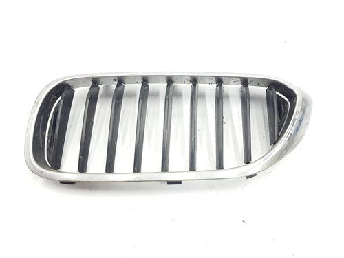 Front grille BMW 5 (G30, F90) 520 i (184 hp) 10096007