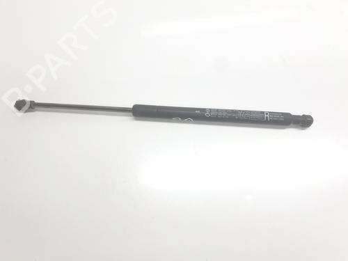 Used Hood lift support Hood lift support RENAULT ARKANA I (LCM_, LDN_) [2019-2026] 33861186 33861186