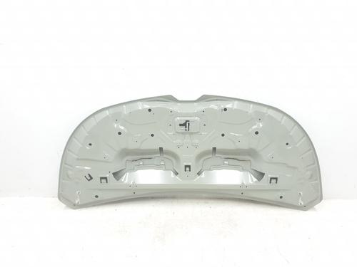 Hood RENAULT TRAFIC III Van (FG_) 1.6 dCi 140 (FGMA, FGMC) | BP29937695C1 