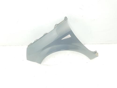 Left front fenders RENAULT GRAND SCÉNIC II (JM0/1_) 1.5 dCi (JM02, JM13) | BP15074870C41 