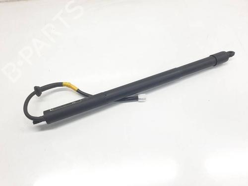 Used Tailgate lift support Tailgate lift support TOYOTA RAV 4 V (_A5_, _H5_) [2018-2026] 40435780 40435780