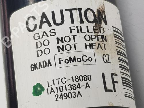 Right rear shock absorber FORD PUMA (J2K, CF7) | BP30749234M19