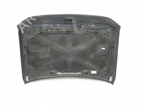 Hood MITSUBISHI PAJERO IV (V8_W, V9_W) 3.2 DI-D (V88W, V98W) | BP20198157C1 