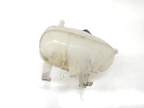 Expansion tank RENAULT TRAFIC III Van (FG_)  | BP29399248C120 
