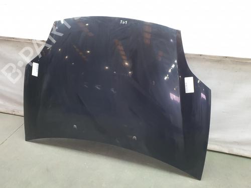 Hood FIAT BRAVO II (198_) 1.4 (198AXA1B) | BP9499739C1 