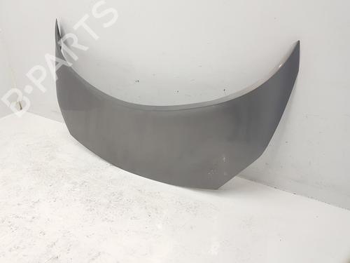 Hood RENAULT SCÉNIC II (JM0/1_) 1.5 dCi (JM1E, JM16) | BP15550596C1 