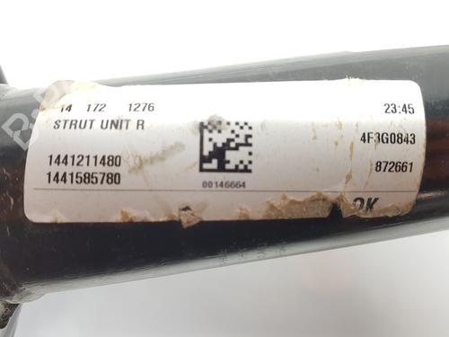 Right front shock absorber FIAT DUCATO Van (250_)  | BP31593950M17 