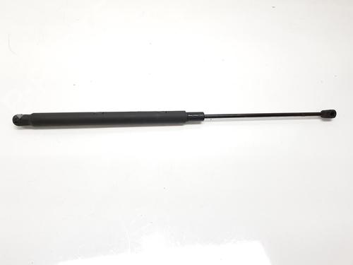 Used Hood lift support MERCEDES-BENZ C-CLASS (W203) C 270 CDI (203.016) (170 hp) 17904516