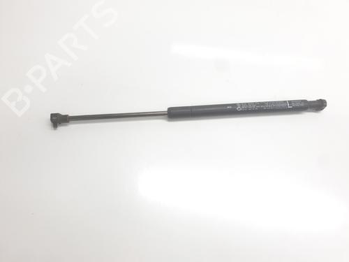 hood-lift-support-renault-arkana-i-lcm_-ldn_-2019-33411881 main image