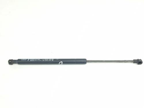 hood-lift-support-renault-arkana-i-lcm_-ldn_-2019-34699118 main image