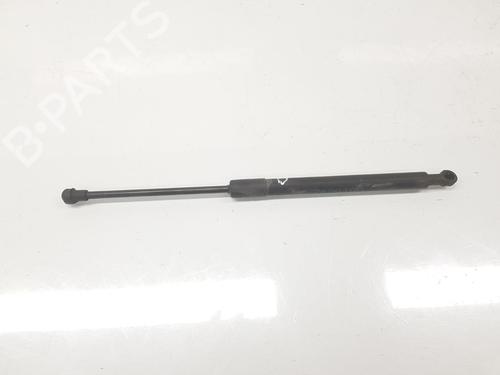 Tailgate lift support BMW 3 Touring (E91) 320 d | BP14098873C138 