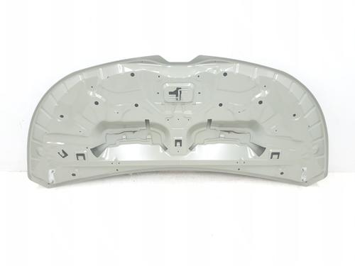 Hood RENAULT TRAFIC III Van (FG_) 1.6 dCi 140 (FGMA, FGMC) | BP29953736C1