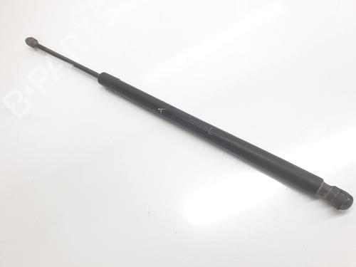 Tailgate lift support HONDA CR-V III (RE_) 2.0 i-VTEC 4WD (RE5, RE2) | BP22762733C138 