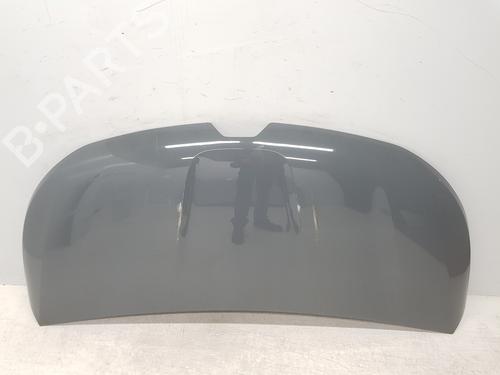 Used Hood RENAULT TRAFIC III Van (FG_) 1.6 dCi 140 (FGMA, FGMC) (140 hp) 30498565