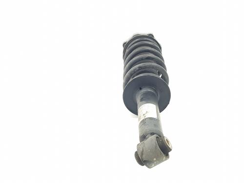 Left rear shock absorber BMW X4 (G02, F98) xDrive 20 d | BP30479588M18