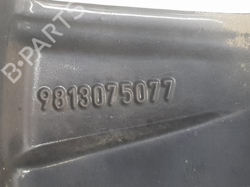 Fælk CITROËN C3 III (SX)  | BP31805854C45 