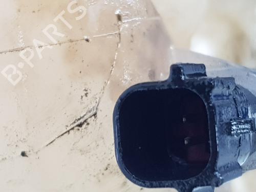 Expansion tank LAND ROVER RANGE ROVER EVOQUE (L538)  | BP29029106C120 