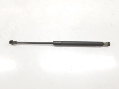 Hood lift support BMW 1 (E87) 118 d | BP14119604C139 