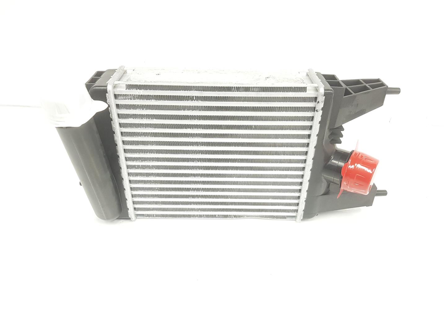 Intercooler NISSAN JUKE (F15) 1.2 DIGT 9624013 BParts