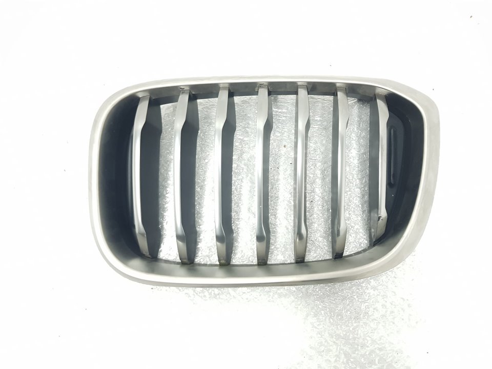 Front grille BMW X4 (G02, F98) xDrive M40 d 9970308 | B-Parts