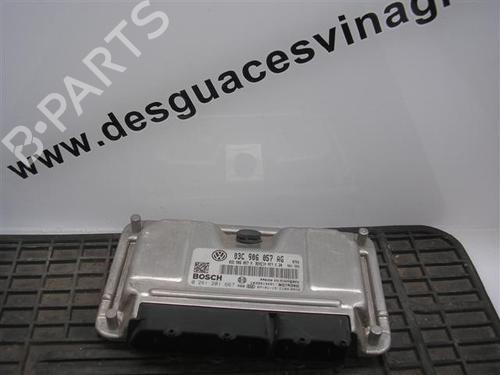 Electronic module SEAT IBIZA III (6L1) 1.6 16V | BP20121211M83 