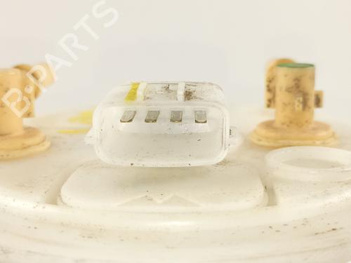 Fuel pump RENAULT CLIO III Grandtour (KR0/1_) | BP13048784M76
