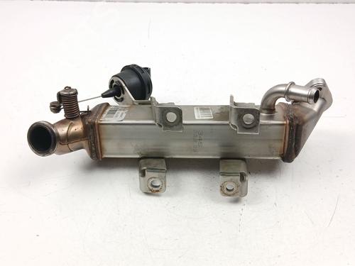 Egr NISSAN QASHQAI I (J10, NJ10) 2.0 dCi All-wheel Drive | BP29730111M69 