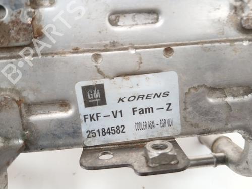 Egr CHEVROLET ORLANDO (J309) 2.0 D | BP38020746M69 - Image 8