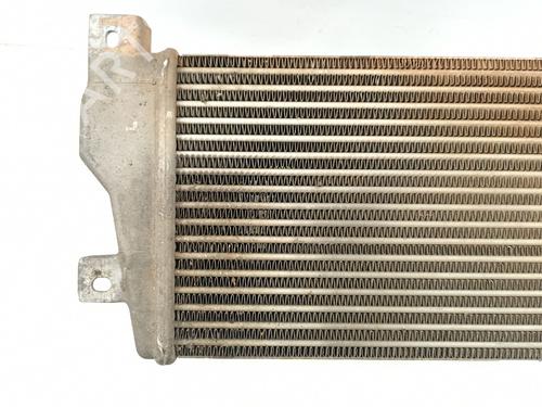 Intercooler TATA SAFARI (42_FD) 3.0 D | BP28678952M30