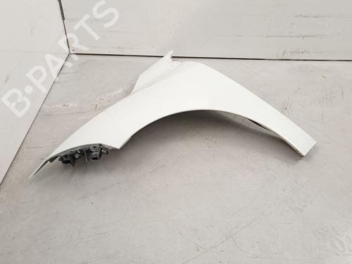 Left front fenders RENAULT MEGANE III Hatchback (BZ0/1_, B3_) 1.5 dCi (BZ09, BZ0D, BZ1W, BZ29, BZ14) | BP16766481C41 