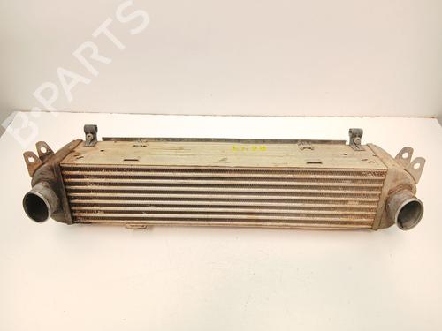 Used Intercooler LAND ROVER DISCOVERY III (L319) 2.7 TD 4x4 (190 hp) 28679044