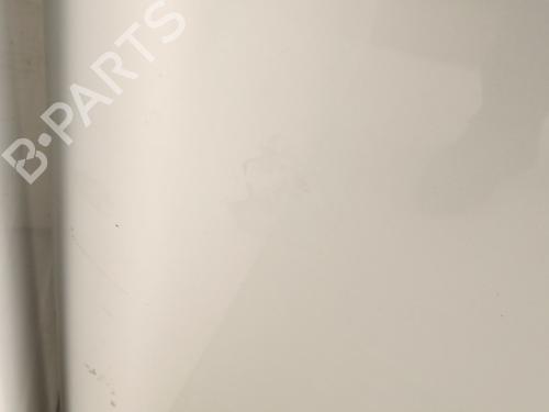 Hood LAND ROVER DISCOVERY III (L319) 2.7 TD 4x4 | BP24334101C1 