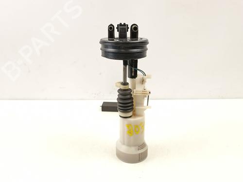 Fuel pump SEAT IBIZA II (6K1) 1.9 D | BP15655960M76 