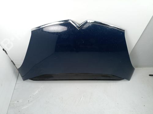 Hood CITROËN C4 Picasso I MPV (UD_) 2.0 HDi 138 | BP17493322C1 