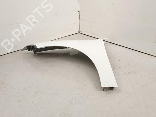 Left front fenders RENAULT MEGANE III Hatchback (BZ0/1_, B3_) 1.5 dCi (BZ09, BZ0D, BZ1W, BZ29, BZ14) | BP16766481C41 
