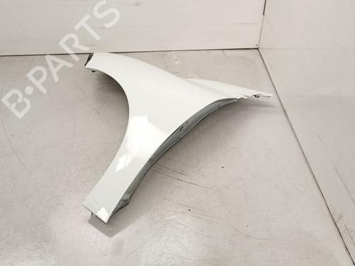 Left front fenders RENAULT MEGANE III Hatchback (BZ0/1_, B3_) 1.5 dCi (BZ09, BZ0D, BZ1W, BZ29, BZ14) | BP16766481C41 