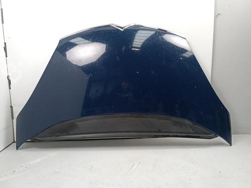 Hood CITROËN C4 Picasso I MPV (UD_) 2.0 HDi 138 | BP17493322C1 
