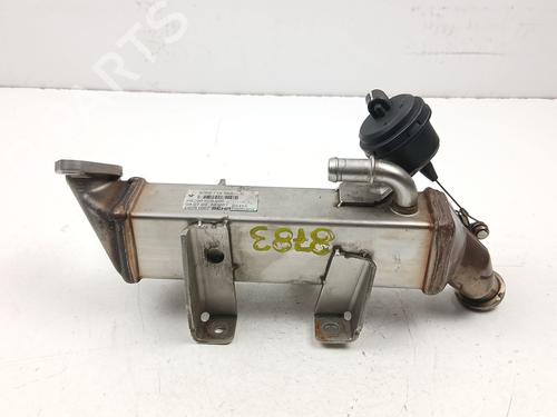 Egr NISSAN QASHQAI I (J10, NJ10) 2.0 dCi All-wheel Drive | BP29730111M69 