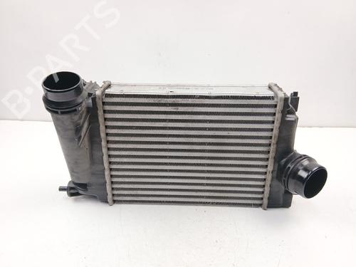 Intercooler NISSAN QASHQAI II (J11, J11_) 1.2 DIG-T | BP30150988M30