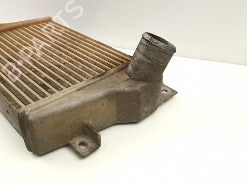 Intercooler TATA SAFARI (42_FD) 3.0 D | BP28678952M30