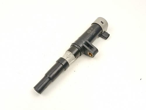 Bobine accensione RENAULT MEGANE II (BM0/1_, CM0/1_) 1.6 16V (BM0C, CM0C) (113 hp) 16702670