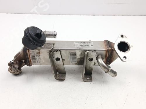 Egr NISSAN QASHQAI I (J10, NJ10) 2.0 dCi All-wheel Drive | BP29730111M69 